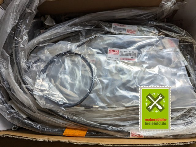 PXL_20240510_150615283